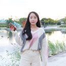 다이아수