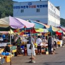 반도낚시 이미지