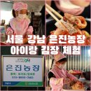 은진2농장 | 서울 강남 은진농장 아이랑 김장 체험 및 예약 방법과 김치 돼지고기보쌈 수육
