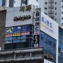 퍼피랜드애견카페 이미지