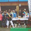 아미산울어리 이미지