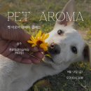 반려동물을 위한 천연아로마제품 원데이 클래스 | 광주펫아로마클래스 분리불안·스트레스완화도움 광주반려동물 광주펫샵 펫아로마