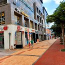 으뜸플러스안경제주삼화점 이미지