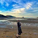 와이즈독 아카데미 이미지