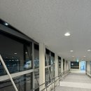9월 일상(3): 여행 후 짧은 금토일 전시장 일상, 홍연길 배추공주 디저트, 누룽지통닭, 와인 네병 기록