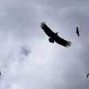 세상의 모든 음악 Ⅱ - 커피 이야기 | 울산 독수리학교 방문기｜아이와 함께하는 겨울방학 생태체험으로 추천