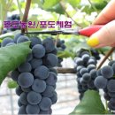 거창 하늘농원