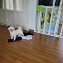 해피팬션 이미지