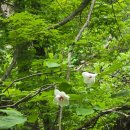 작전역사거리 3,4번 출구 앞 이미지