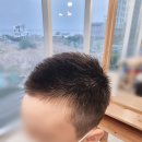 란훈빠마 이미지