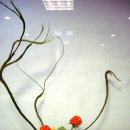 동양 꽃꽂이 이미지