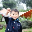 모구리야영장(대피소) | 6/19(일)~6/23(목) 모구리 야영장 후기