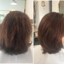 제이유(JU)헤어 이미지