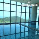[부산] 기장 추천하고 싶은 숙소 한화 마티에 오시리아 호텔 수영장 마티에 컴포트 디럭스 이용 후기
