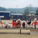 무지개파크 이미지