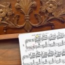 나비환상곡 이미지