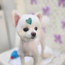 다이아몽 이미지