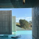 엘리스테이보령 이미지