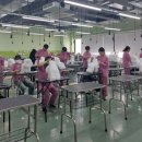 솔펫 애견미용놀이터 이미지