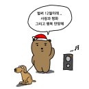 2024년 11월 보고서
