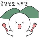 바우민박