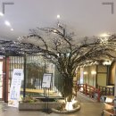 도쿄하나 등촌점 이미지