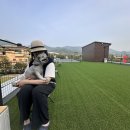 [남양주] 가평 근처 대형 애견카페 추천 - 잔디밭이 넓은 &lt;디그르르&gt; 내돈내산 후기