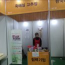 죽매실고추장