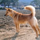 용순농장 이미지