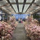 청량리13 | Wedding #6. 예식장 고르기 (3) 청량리 l65호텔웨딩컨벤션 하객 후기