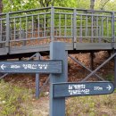 영축산 순환산책로 이미지