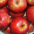 양포초등 병설 이미지