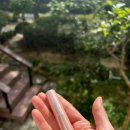 올띵스마켓 이미지