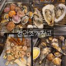 천안조개창고 | 천안 조개구이 맛집 조개창고에서 무한리필 후기