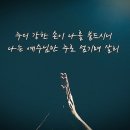 코드유니언