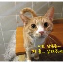 진리동물병원 이미지