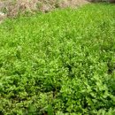 태호네농장 이미지