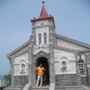 필애견훈련학교 이미지