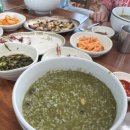 에이스조경 - 진도군 만길안길 72-3 | 에이스조경