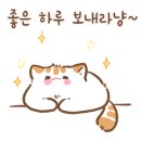 볼로그구미