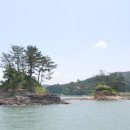 장고섬 Daum백과