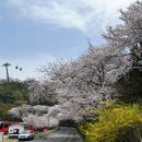 해양대학로 이미지