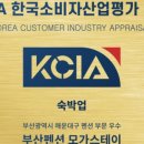 해운대 바다 스테이 이미지