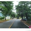 삼가리 160 이미지