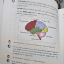 신경과 병동 간호사가 리뷰하는 '프셉마음 신경과 환자파악편' : 뇌졸중, 뇌전증, 길랑바레 증후군