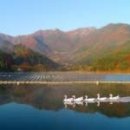 팰리스 태양광발전소 이미지