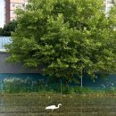 삼동 261-1 | [서울 근교 카페, 용인 카페] 구성커피로스터스 방문 후기(6월 중순 방문)