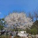 해밀도시계획사무소 | 양평 캠핑장 해밀365캠핑장, 가을 계곡 캠핑 — 용문산 자락 가성비 오토캠핑