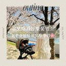 동촌역 자전거 주차장 | 대구 벚꽃 명소 | 유모차 끌고 다녀온 동촌유원지 벚꽃 후기 (3월 28일 실시간 개화상황 &amp; 주차 꿀팁)