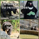 지리산생태탐방원 | 지리산 생태탐방원 예약부터 후기까지! 처음 가는 분들을 위한 솔직 후기
